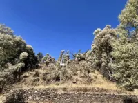 Residential Plot for Sale in Dwarahat, Almora