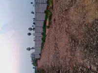  Residential Plot for Sale in Rajahmundry, East Godavari