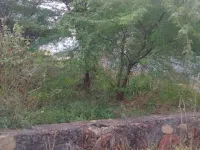  Residential Plot for Sale in Madhurawada, Visakhapatnam