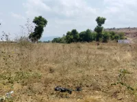  Agricultural Land for Sale in Kadapa, Cuddapah