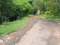  Residential Plot for Sale in Diglipur, Andaman