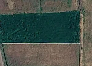 Agricultural Land for Sale in Tauru, Nuh