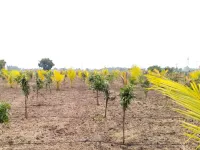  Agricultural Land for Sale in Walajabad, Chennai