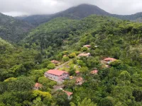  Residential Plot for Sale in Pethuparai, Kodaikanal
