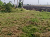  Residential Plot for Sale in Tenali, Guntur