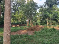  Residential Plot for Sale in Varkala, Thiruvananthapuram