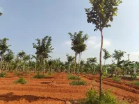  Agricultural Land for Sale in Madhurandagam, Chennai