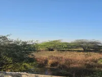  Commercial Land for Sale in Savli, Vadodara