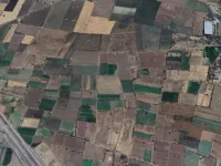  Agricultural Land for Sale in Halol, Vadodara