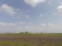  Agricultural Land for Sale in Dholera, Ahmedabad