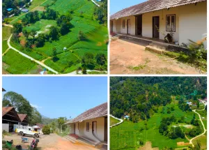Agricultural Land for Sale in Munnar, Idukki