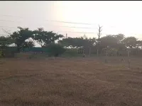  Agricultural Land for Sale in Kothacheruvu, Anantapur