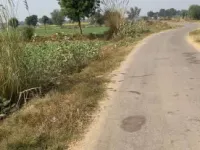 Agricultural Land for Sale in Naugaon, Alwar