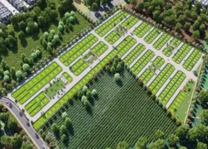  Residential Plot for Sale in Dholera, Ahmedabad