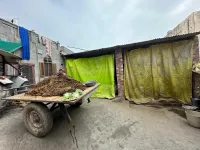  Residential Plot for Sale in Bhawanigarh, Sangrur