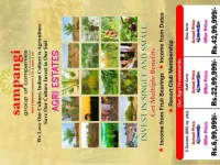 Agricultural Land for Sale in Narayankhed, Sangareddy