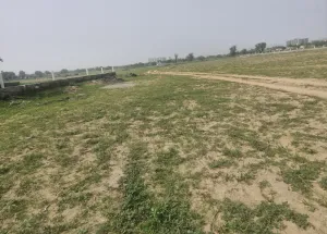  Residential Plot for Sale in Neemrana, Alwar