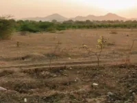  Agricultural Land for Sale in Daduluru, Anantapur