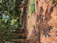  Residential Plot for Sale in Chinnamusidivada, Visakhapatnam