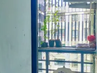 1 BHK Flat for Sale in New Ranip, Ahmedabad