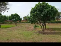  Residential Plot for Sale in Alwar Bypass Road, Bhiwadi
