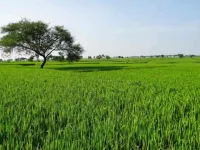  Agricultural Land for Sale in Barundhan, Bundi