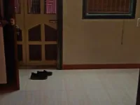 1 BHK Flat for Sale in Virar East, Mumbai