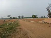  Residential Plot for Sale in Burugupudi, Rajahmundry