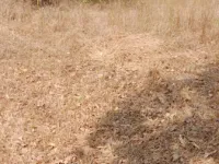  Agricultural Land for Sale in Taluka Velhe, Pune