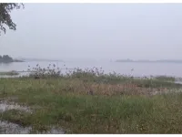 Agricultural Land for Sale in Igatpuri, Nashik