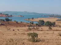  Agricultural Land for Sale in Trimbak, Nashik