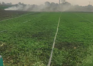 Agricultural Land for Sale in Chevella Mandla, Hyderabad
