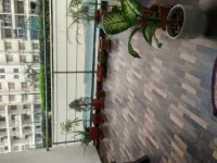 3 BHK Flat for Rent in Hinjewadi Phase 2, Pune