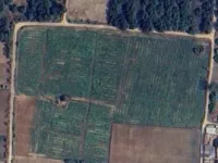  Agricultural Land for Sale in Ujhari, Amroha