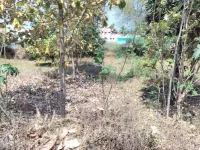 Residential Plot for Sale in Samayanallur, Madurai