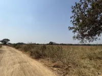  Agricultural Land for Rent in Rudraram, Hyderabad