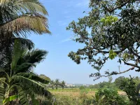 Residential Plot for Sale in Guirim, North Goa,