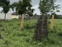  Agricultural Land for Sale in Golkonda, Hyderabad
