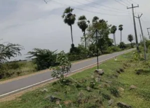  Residential Plot for Sale in Oragadam, Chennai