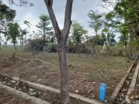  Residential Plot for Sale in Mallavaram, Tirupati