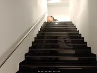  Showroom for Sale in Sector 12A Panchkula