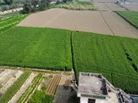  Agricultural Land for Sale in Garhshankar, Hoshiarpur