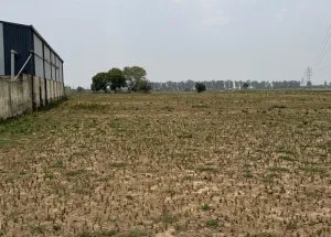 Industrial Land for Sale in Shahzadpur, Ambala