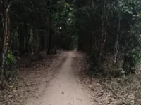  Residential Plot for Sale in Hiriadka, Udupi