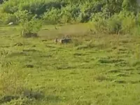  Residential Plot for Sale in Kottar, Nagercoil, Kanyakumari