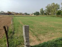  Agricultural Land for Sale in Morinda, Rupnagar