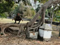  Residential Plot for Sale in Dhekiajuli, SONITPUR