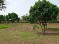  Residential Plot for Sale in Khushkhera, Bhiwadi