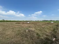  Commercial Land for Sale in Ayodhya, Faizabad