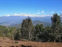  Residential Plot for Sale in Kausani, Almora